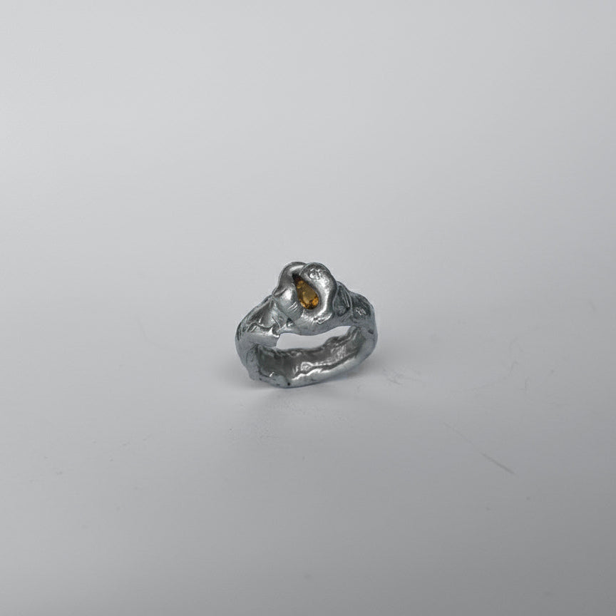 Anillo MODULE Azufre